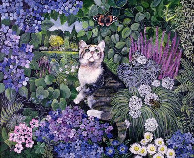 Bubbles by Hilary Jones