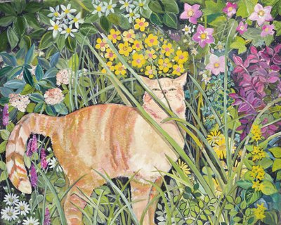 Cat and Long Grass by Hilary Jones