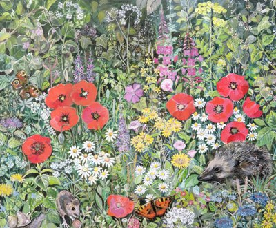 Hedgehog amongst the Flowers by Hilary Jones