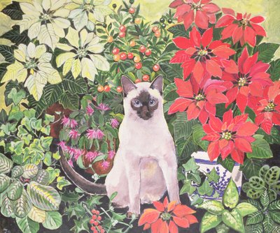 Poinsettias by Hilary Jones