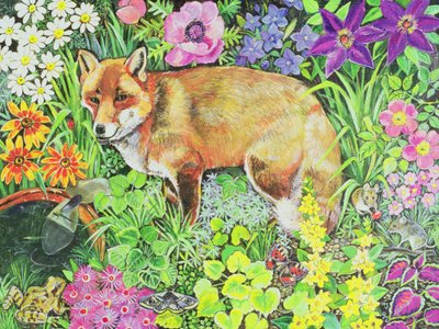 The Barnet Fox by Hilary Jones