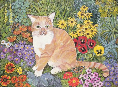 The Carpenters Cat by Hilary Jones