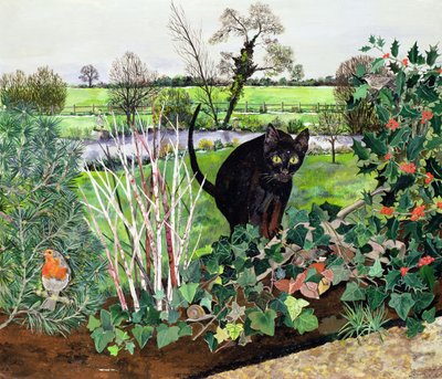Winter Cat by Hilary Jones