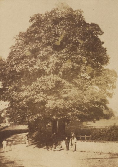 Roslin by Hill and Adamson
