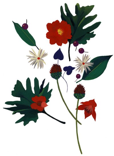 A flower that makes you imagine Christmas by Hiroyuki Izutsu