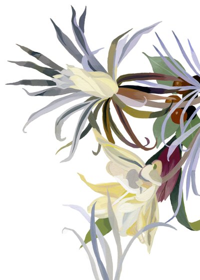 Elegant, Beard-Like Flowers by Hiroyuki Izutsu