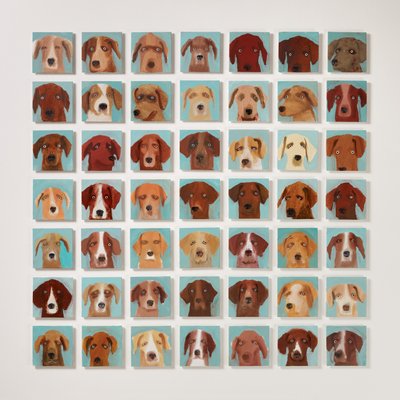 49 Foxhounds by Holly Frean