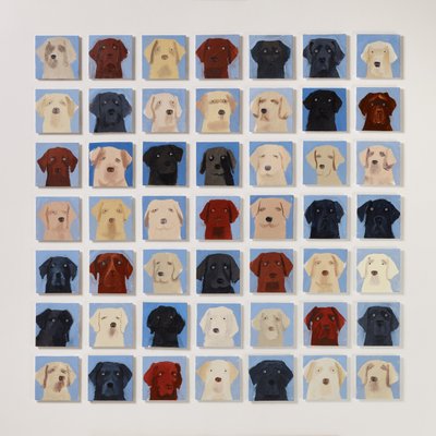 49 Labradors by Holly Frean