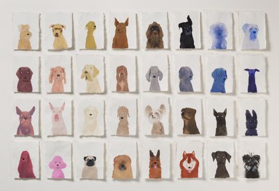 Dog Rainbow 1 by Holly Frean