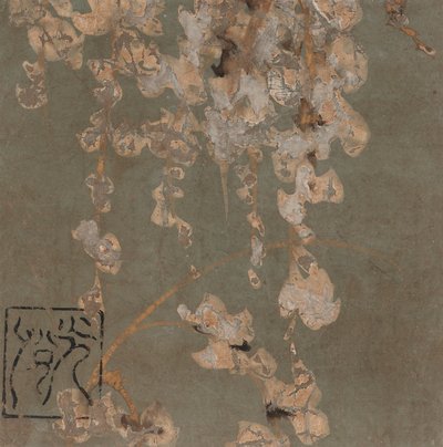 Wisteria Blossoms by Hon