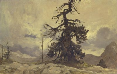 The Dying Monarch 