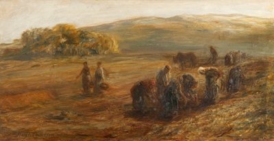 Lifting Potatoes by Hugh Cameron