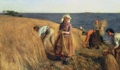 The Harvest by Hugh Cameron