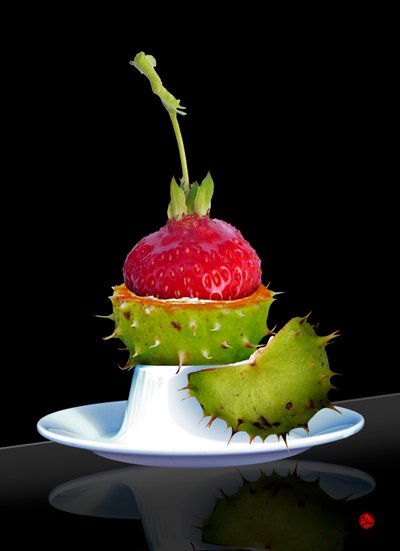 Gooseberry by Hugo Nefe