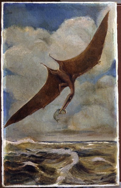 A pterodactyl by Hungarian School