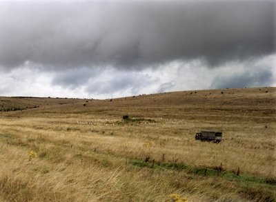 Barrow on Salisbury Plain, Wiltshire, 1999 by IJ Leonard