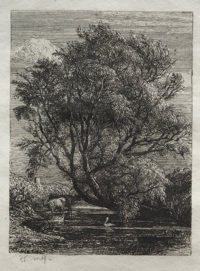 The Willow by Ignaz Gunther