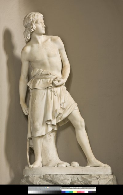 David with the Sling, 1858 by Innocenzo Fraccaroli