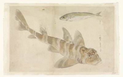 Two Fish: Gurnard (?) and Herring by Ishikawa Kazan