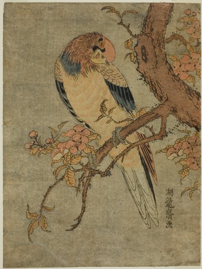 Parrot on Quince Tree by Isoda Koryusai