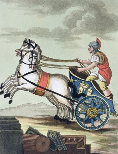 Charioteer, from L