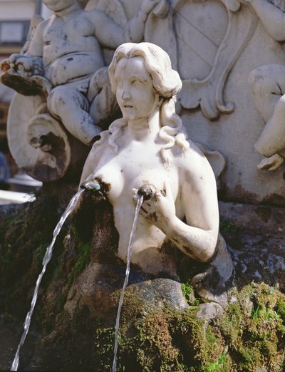 Fountain by Italian School