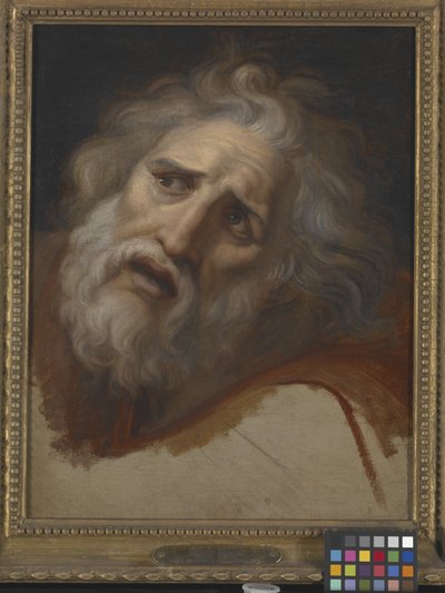 Head Of Laocoon by Italian School
