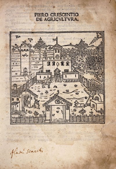 Illustrated titlepage from 