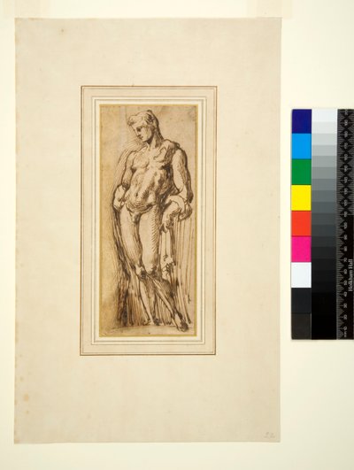 Study of an Antique Statue by Italian School