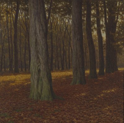 Woody Landscape by Ivan Fedorovich Choultse