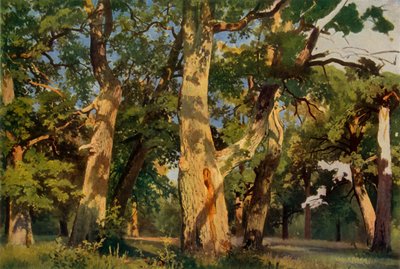 Oak Trees at Eventide, 1887 by Ivan Ivanovich Shishkin