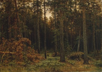 Pinewood by Ivan Ivanovich Shishkin