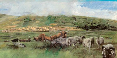 Grimspound, Bronze Age, c1990-2010 by Ivan Lapper