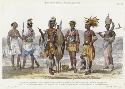 Ethiopian Race, Negros, Kaffirs by J.L. (after) Williams