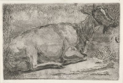 Lying Goat by Jabes Heenck