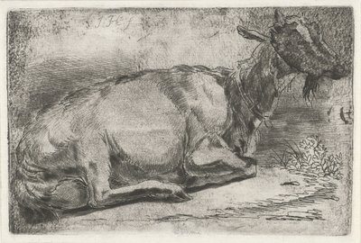 Lying Goat by Jabes Heenck