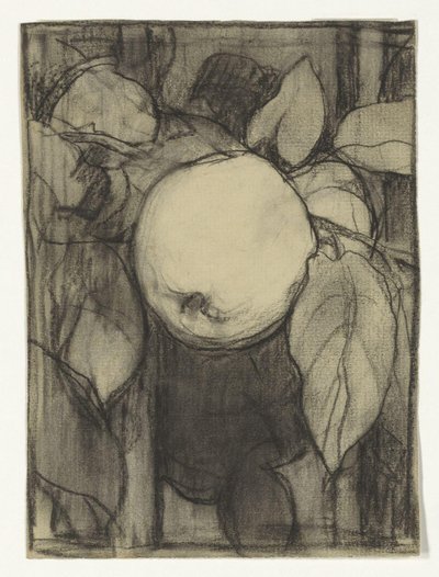 Keizer-Alexander Apple by Jac van Looij