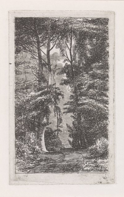 Forest Lane by Jacob Jan van der Maaten