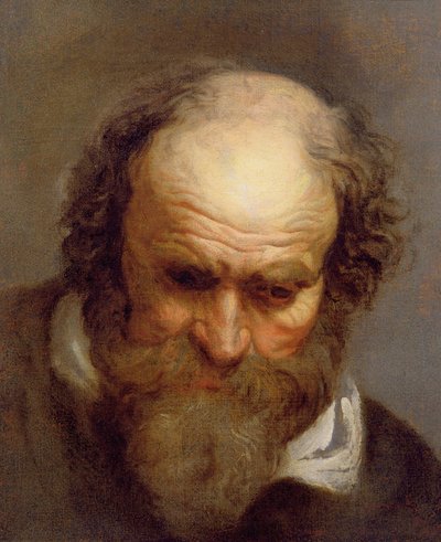 Head of an Old Man by Jacob Jordaens