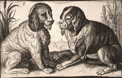 Two dogs by a lakeside by Jacob Matham