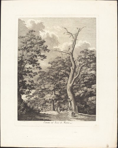 Entrance into the Woods of Marino by Jacob Wilhelm Mechau