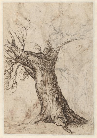 Chestnut Tree with Some Surrounding Trees by Jacob de Gheyn (II)