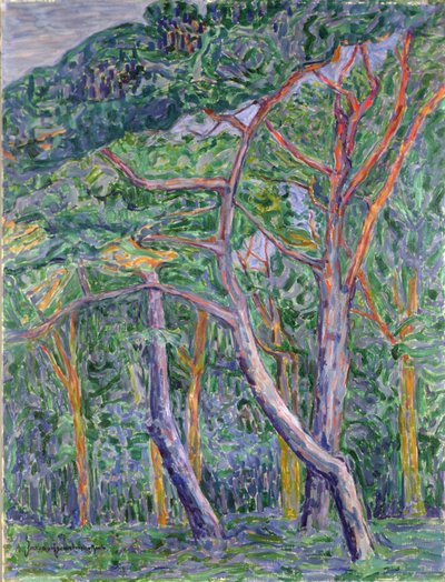 Pine Trees by Jacoba van Heemskerck
