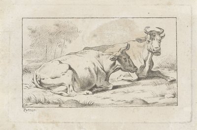 Two Lying Cows by Jacobus Buys