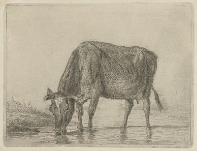 Drinking Cow by Jacobus Cornelis Gaal