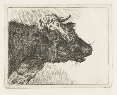 Bellowing Ox by Jacobus Cornelis Gaal