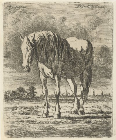 Standing White Horse by Jacobus Cornelis Gaal