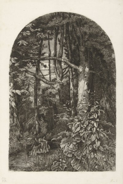 Forest with Stream by Jacobus Ludovicus Cornet
