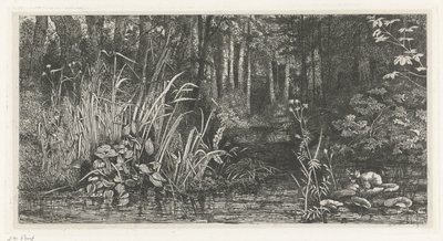 Forest Brook by Jacobus Ludovicus Cornet