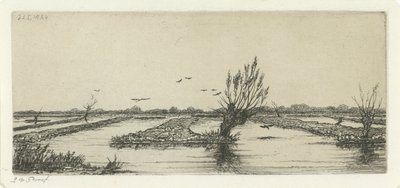 Peat Bog by Jacobus Ludovicus Cornet
